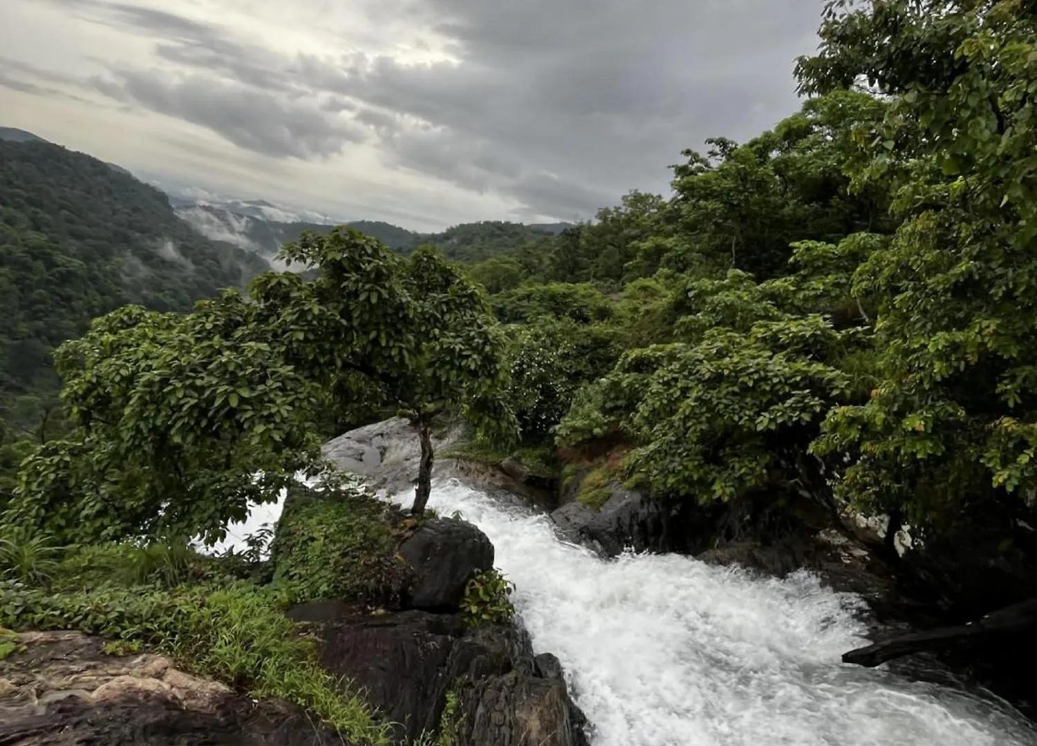 Aruvi Homestay Idukki Chillithodu 0*,  인도
