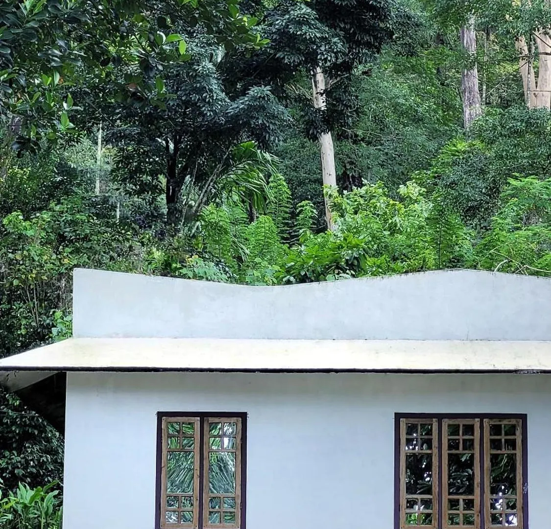 Aruvi Homestay Idukki Chillithodu 0*,  인도