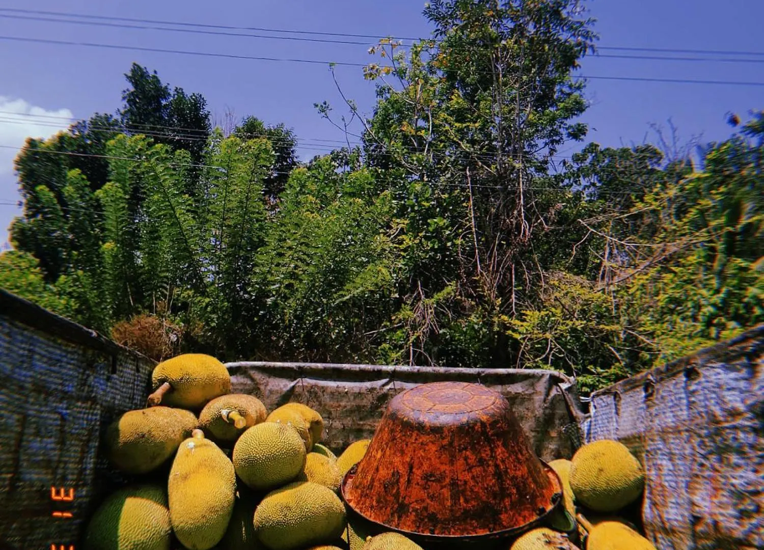 Aruvi Homestay Idukki Chillithodu 0*,